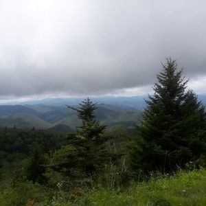 Meet your Posher, Peter